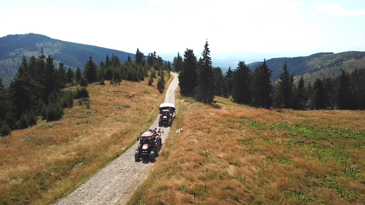 Madarasi Hargita Safari