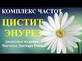 Цистит и Энурез🎆Биорезонансная терапия БРТ💠Сystitis and Enuresis🎆Frequencies Bioresonance Therapy