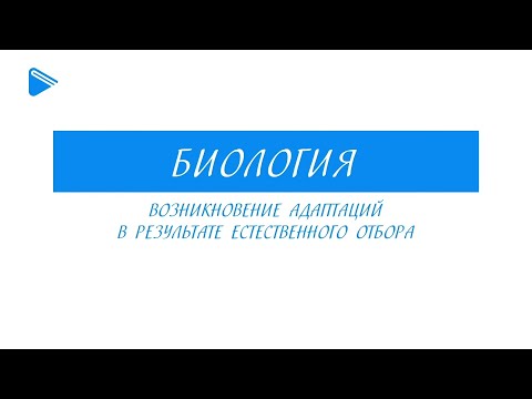 11 Класс  -  Биология - Возникновение адаптаций в результате естественного отбора.