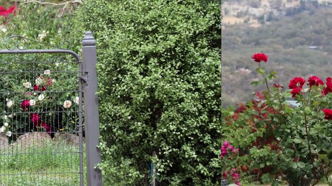 For Sale 118 Berrys Lane, LONGWOOD VICTORIA 3665 YouTube