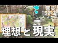 【春庭準備】理想の庭づくりに、なぜか混乱しまくる園芸５年生のリアル｜移植作業｜小さな庭のガーデニング