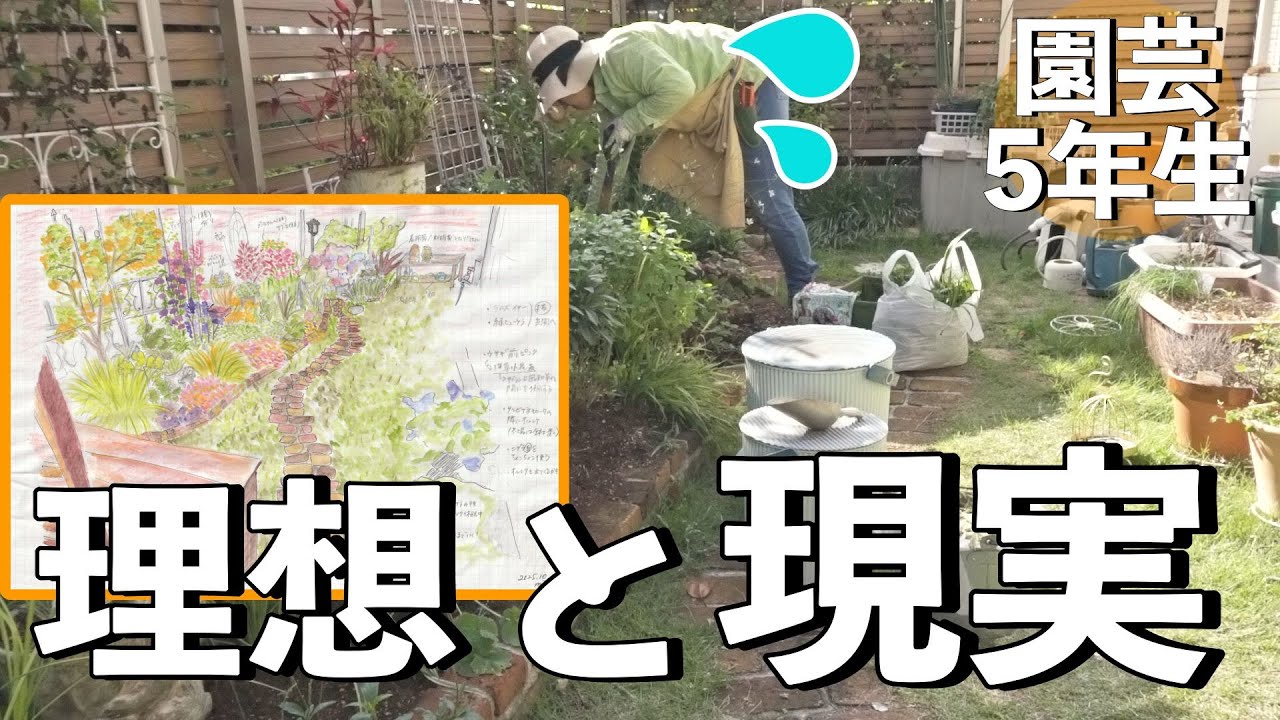 【春庭準備】理想の庭づくりに、なぜか混乱しまくる園芸５年生のリアル｜移植作業｜小さな庭のガーデニング