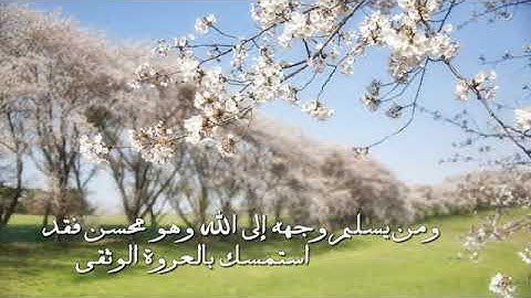 الشيخ رياض الجزائري ... ما تيسر من سورة لقمان