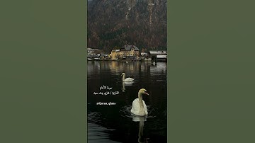 غازي بيت سعيد - الانعام #سورة_الأنعام #غازي_بيت_سعيد