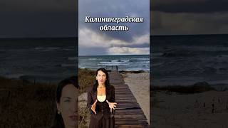 #недвижимостькалининград #недвижимостьленинградскаяобласть #риелторкалининград
