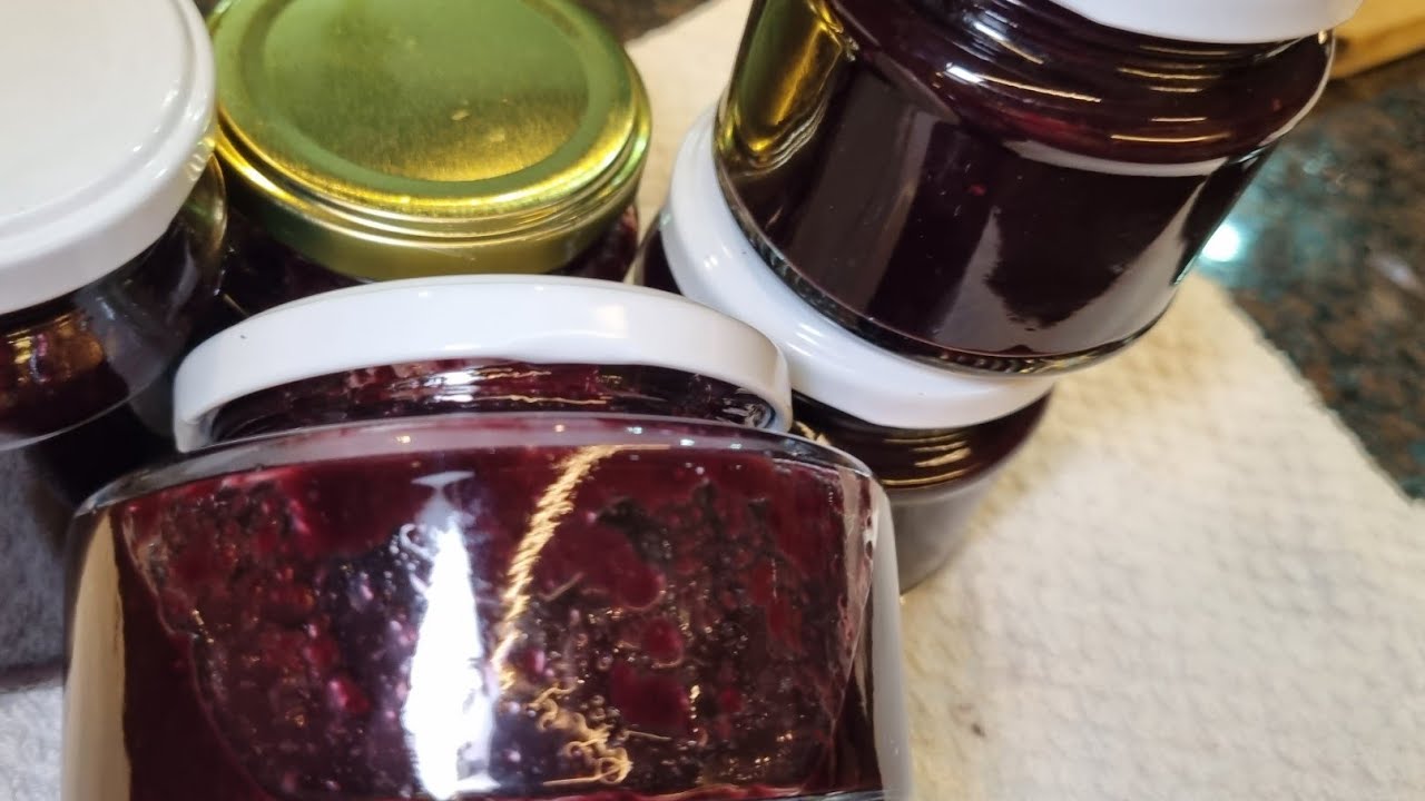 DELÍCIA  DE GELÉIA.  AMORAS COM VINHO! FAÇAM  E VERÃO  QUE DELÍCIA.😊