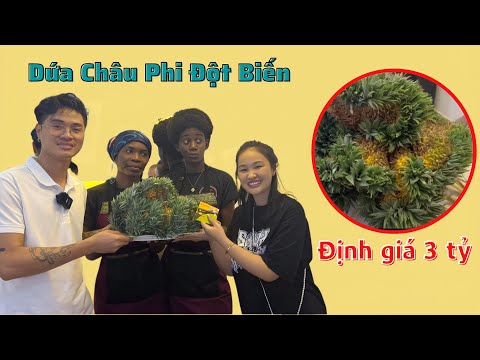 Video Cô Gái Châu Phi | Lần Đầu Tiên Ăn Thử Dứa Đột Biến |... - youtube