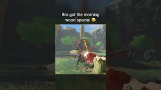 the worst way to wake up in Hyrule