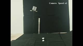 An Insect-Scale Flapping-Wing Micro Aerial Vehicle Inspired by Tumblers Capable of Uncontrolled S4