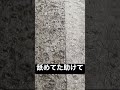たすけて