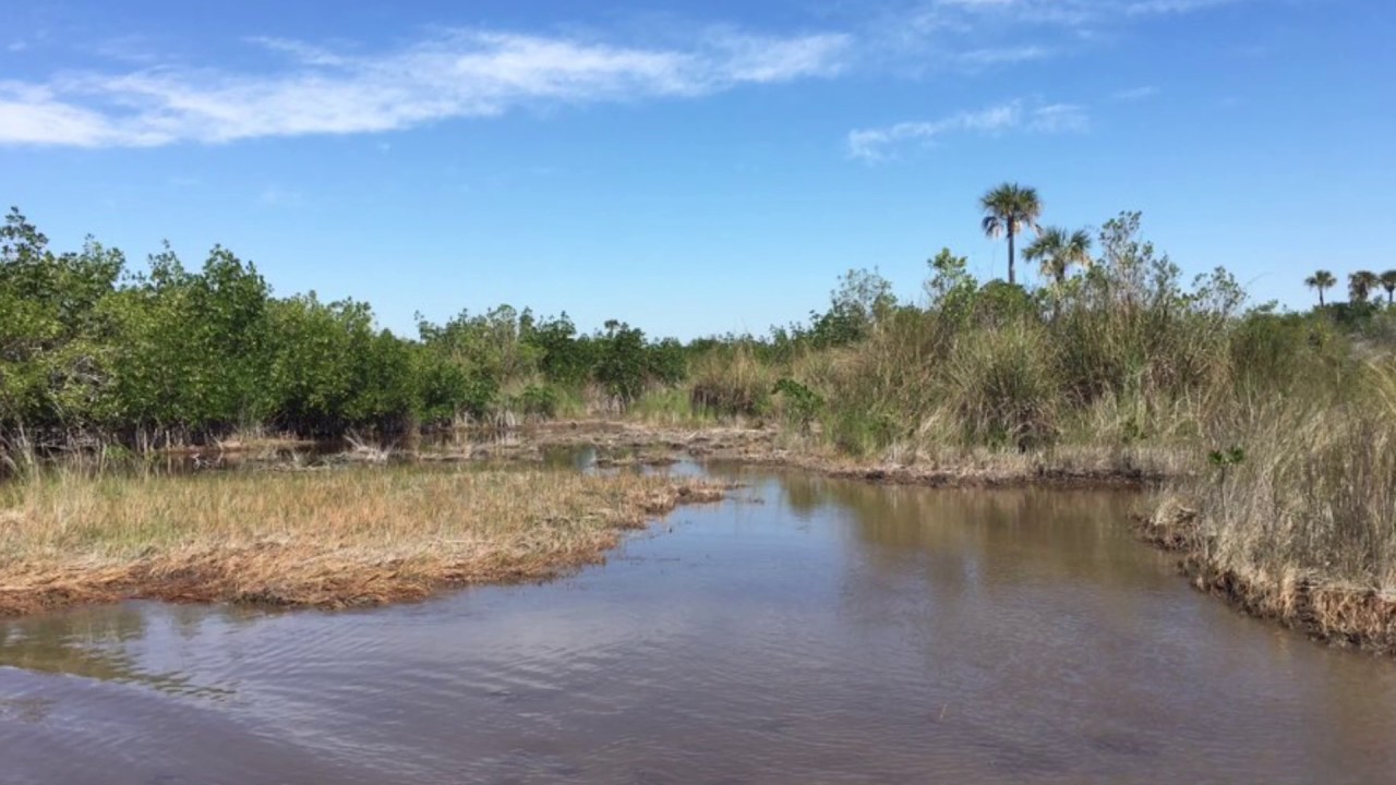 airboat tours tamiami trail