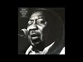 Muddy Waters Deep Down In Florida mp3