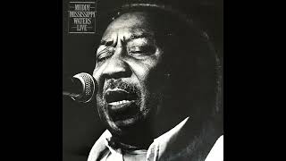 Muddy Waters - Deep Down In Florida