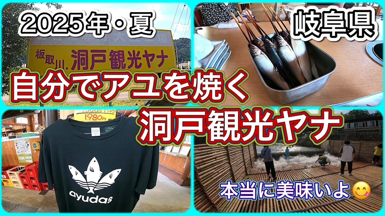 真夏のヤナでアユを満喫😋絶対に行くべきヤナですよ🐟