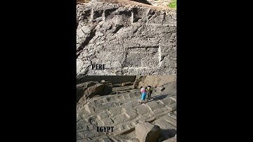 Mudfossil Basic Theory and Specimens
