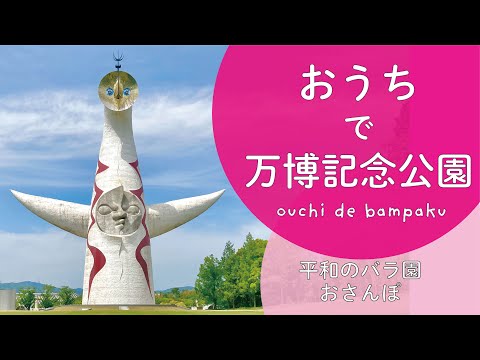 おうちで万博記念公園　～平和のバラ園おさんぽ～（2021年5月撮影）