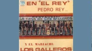 Vignette de la vidéo "Mariachi Los Galleros de Pedro Rey    Que Me Parta Un Rayo"