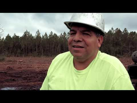 SWAMP LOGGERS NC  - 