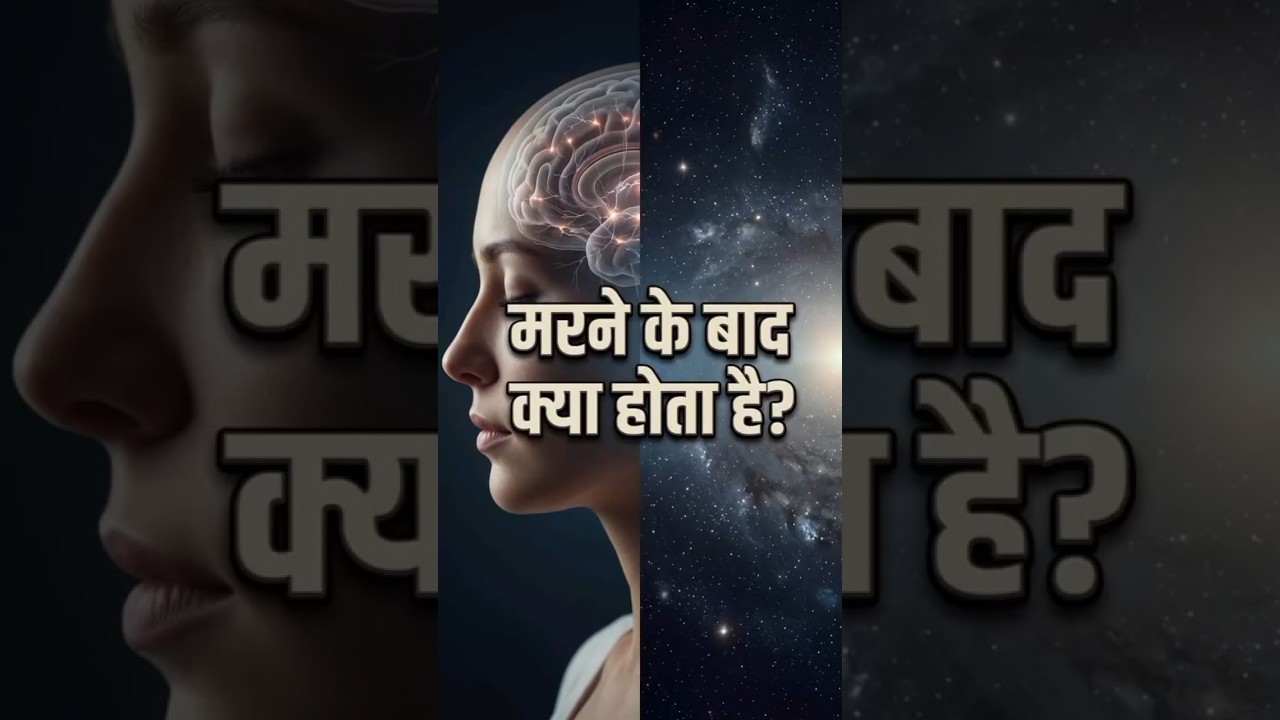मरने के बाद क्या होता है? #reels #fact #death #research मरने के बाद क्या होता है? #reels #fact #death #research