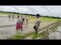 Village Lifestyle##