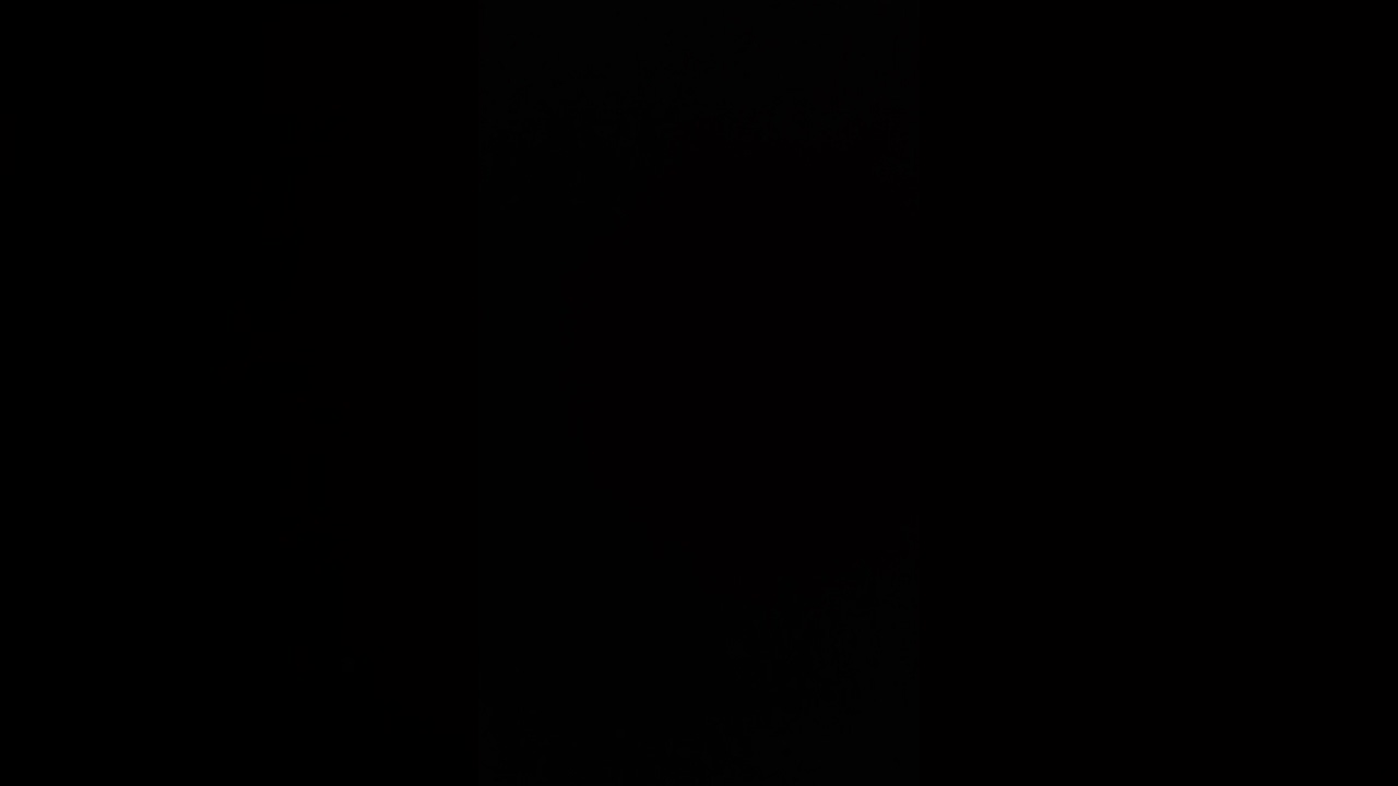 47 января 25564 г.