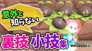 【DQB2】隠しレシピ、収納箱を増やす方法、マンドラ草の入手条件、大倉庫の真相など便利な裏技・小技まとめ【ドラゴンクエストビルダーズ2攻略】