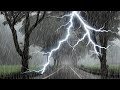 Sleep Instantly in 3 Minutes with Heavy Rain, Lightning, Strong Wind & Rumble Thunderstorm at Night