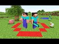 NOOB AND PRO SURVIVING 24 HOURS IN A CIRCLE Minecraft Like Maizen Mikey And JJ  ( Cash and Nico )