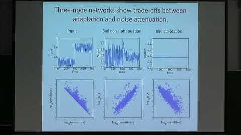 Prof. Lei Zhang | Noise Attenuation during the Development of Spatial Pattern