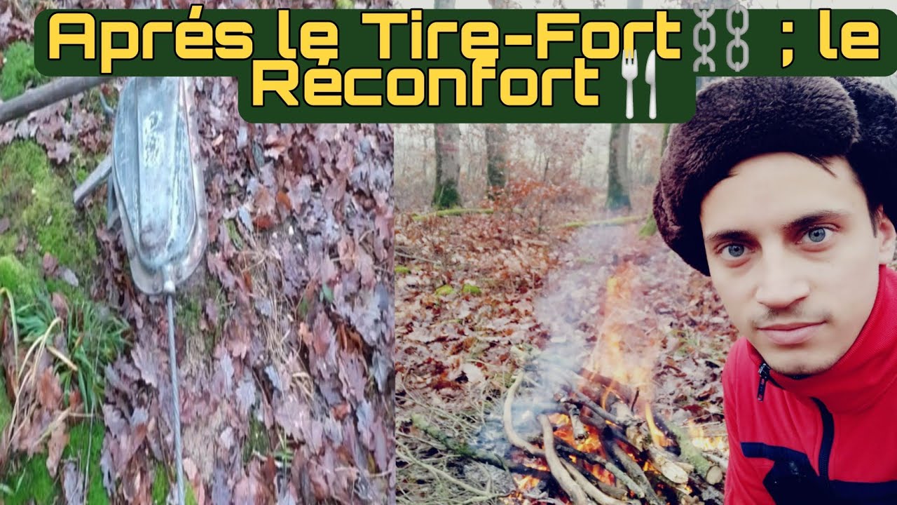 Abattage & Câblage au Tire-Fort💪🌳 Partie 1 