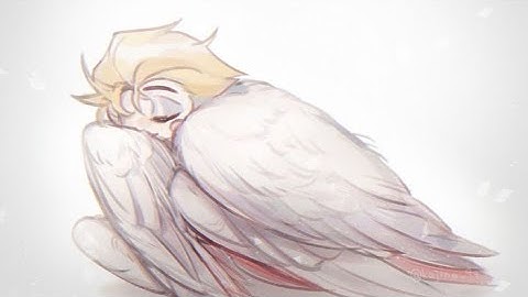 Devils don’t fly(angel Lucifer edit) 