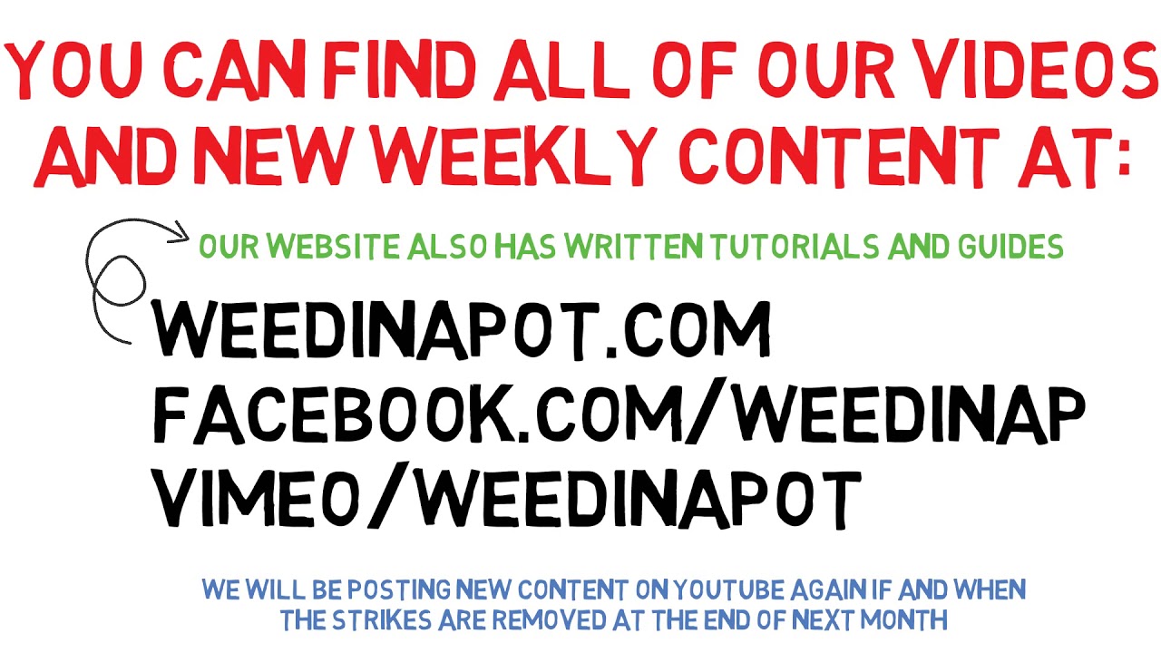 AND WE'RE Sort Of BACK!!! 8EPNUimwFSo