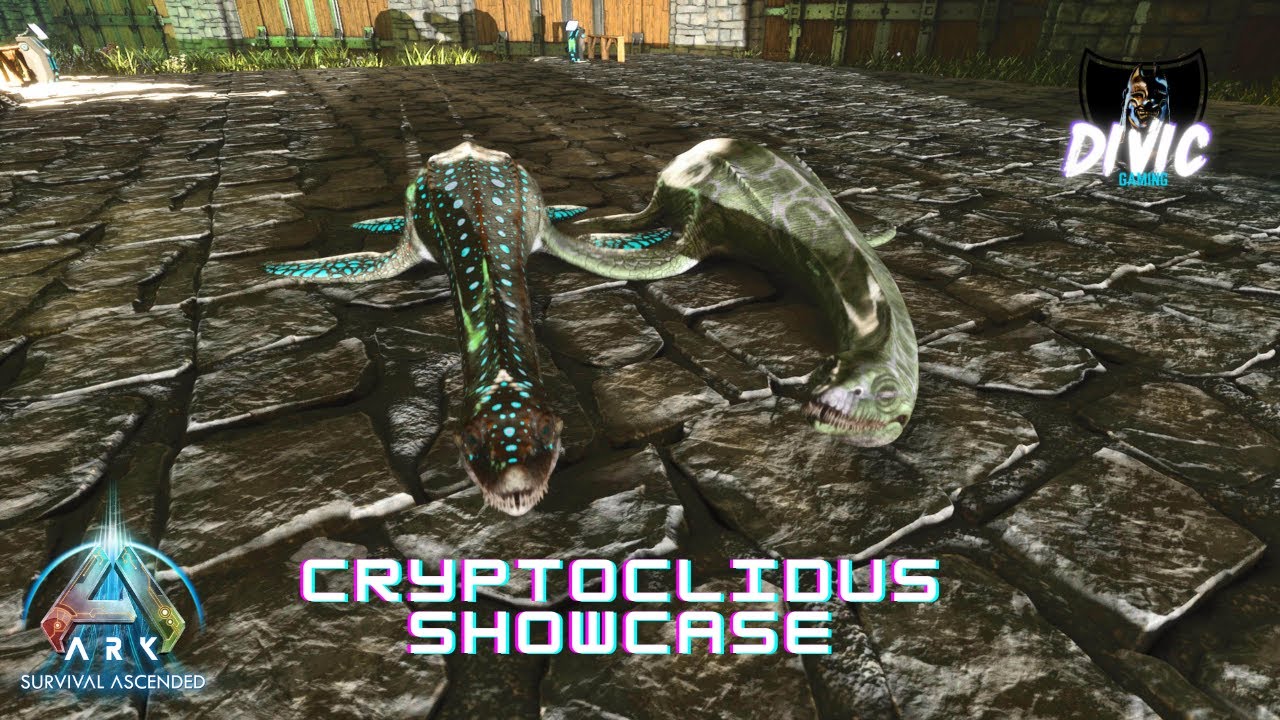 Cryptoclidus IS HERE! | Paleo Ark Evo+ Native Aquatics - YouTube