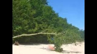 Tomas Ledin-En dag på stranden