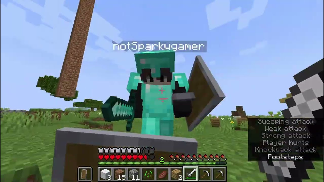 Why my enemy killed me in this Minecraft SMP | BSD1 