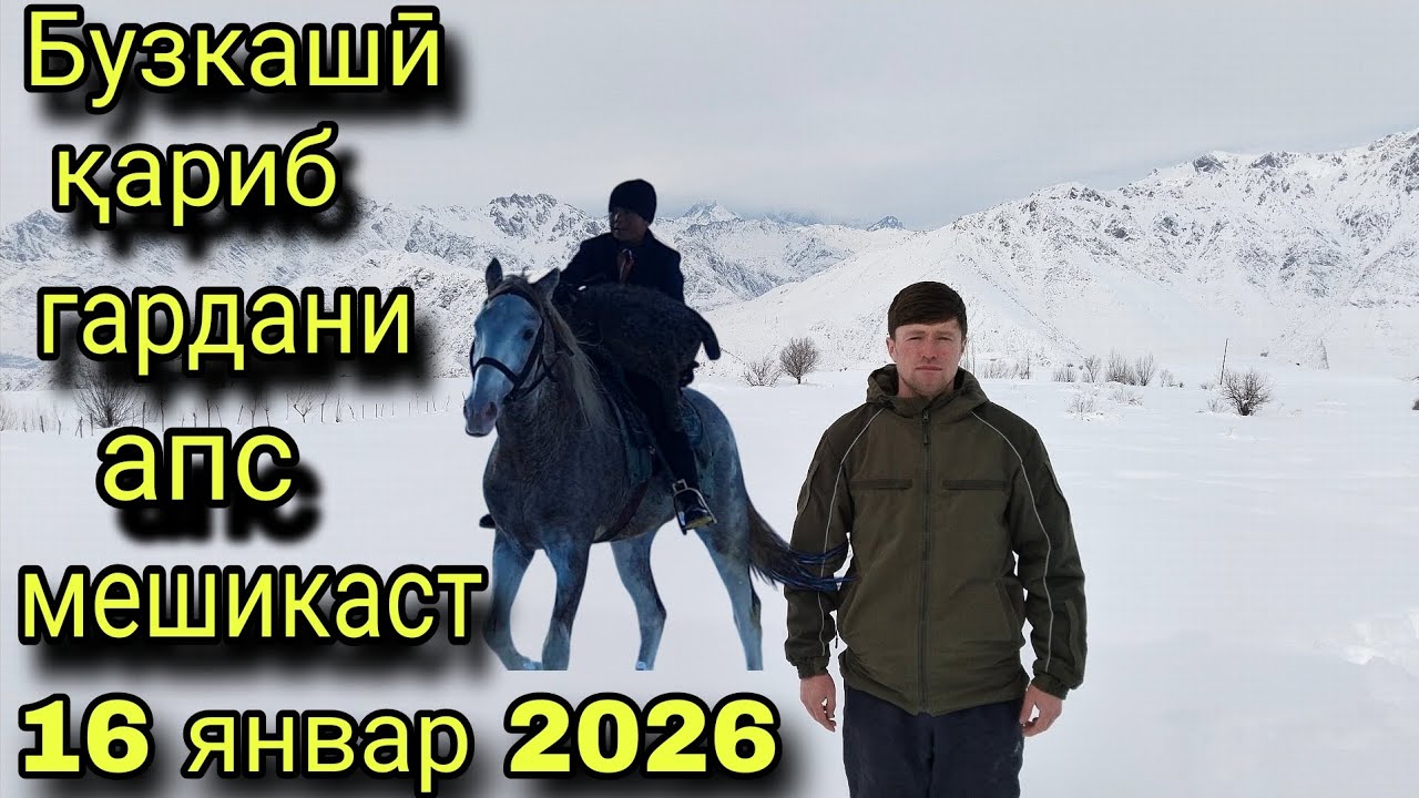16 января 2026 Бузкаши Сайманон чавондоз асп бо лакаби Мария н Лахш بوزکشی در تاجیکستان 
