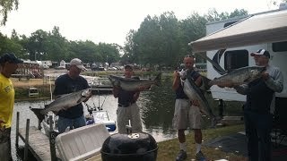 30Lb 9Oz King A 27 And A 26 King Salmon Manistee Mi On Loose Neutral