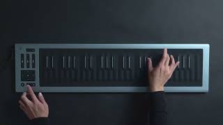 Seaboard RISE 2 and Equator2: A match made in musical heaven