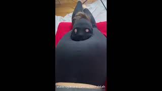 Caught In The Headscissor Trap