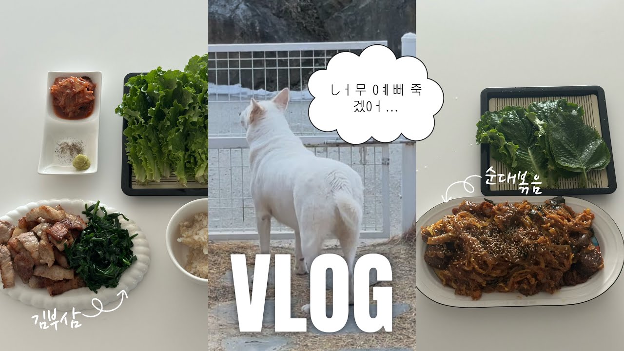 나는 공복이 없어 허기를 느낄리 없어 | 양배추 토스트, 아롱사태 장조림, 부추삼겹살, 순대볶음