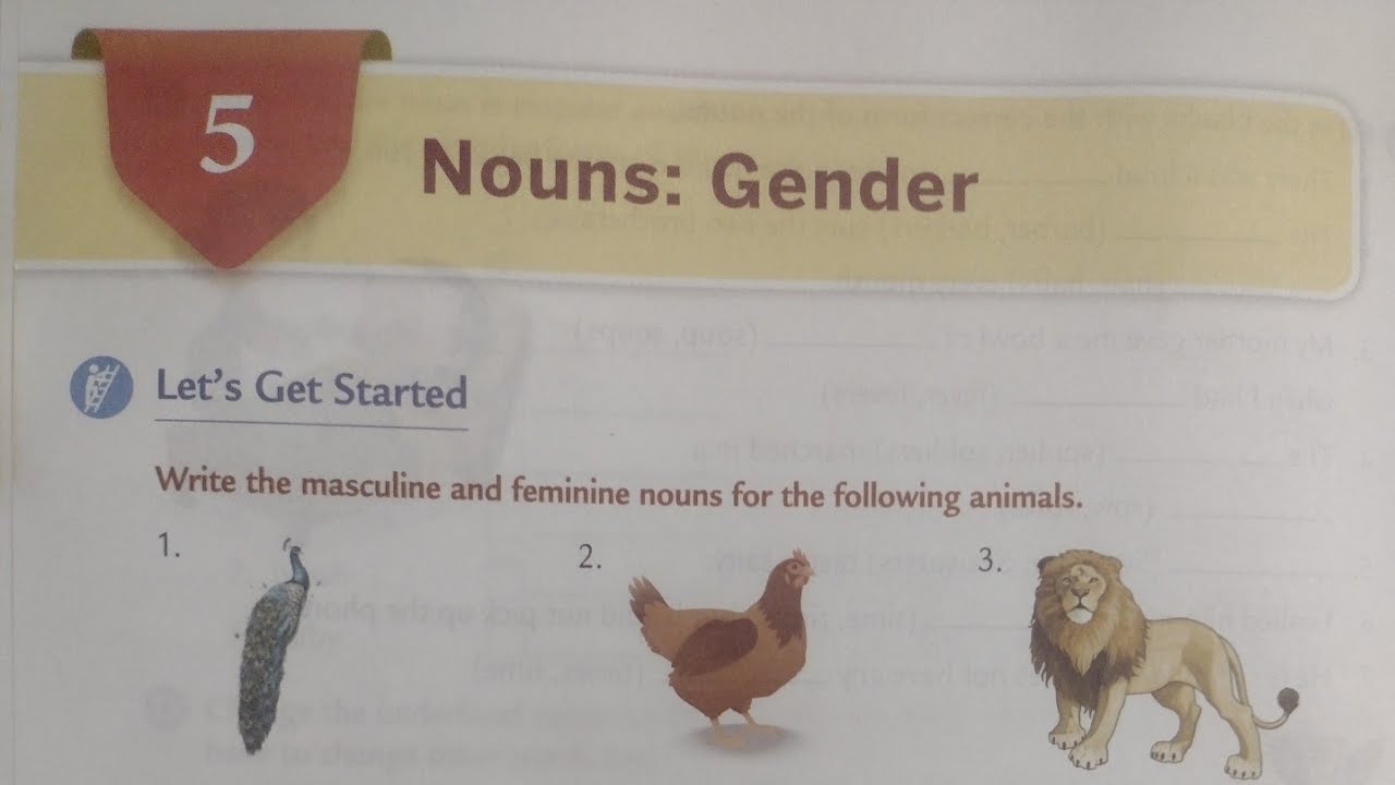 nouns-gender-ch-05-class-04-collins-english-grammar-and