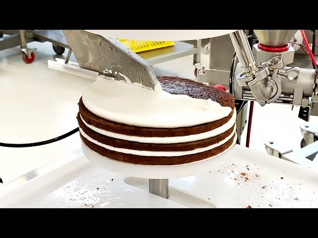 Highly Satisfying Bakery food items production process with Automated Cake  decorating Icing Cookies 