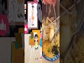 #shorts #doraemon #nobita #shizuka #xuhuong #haihuoc #vuinhon phần 234 R