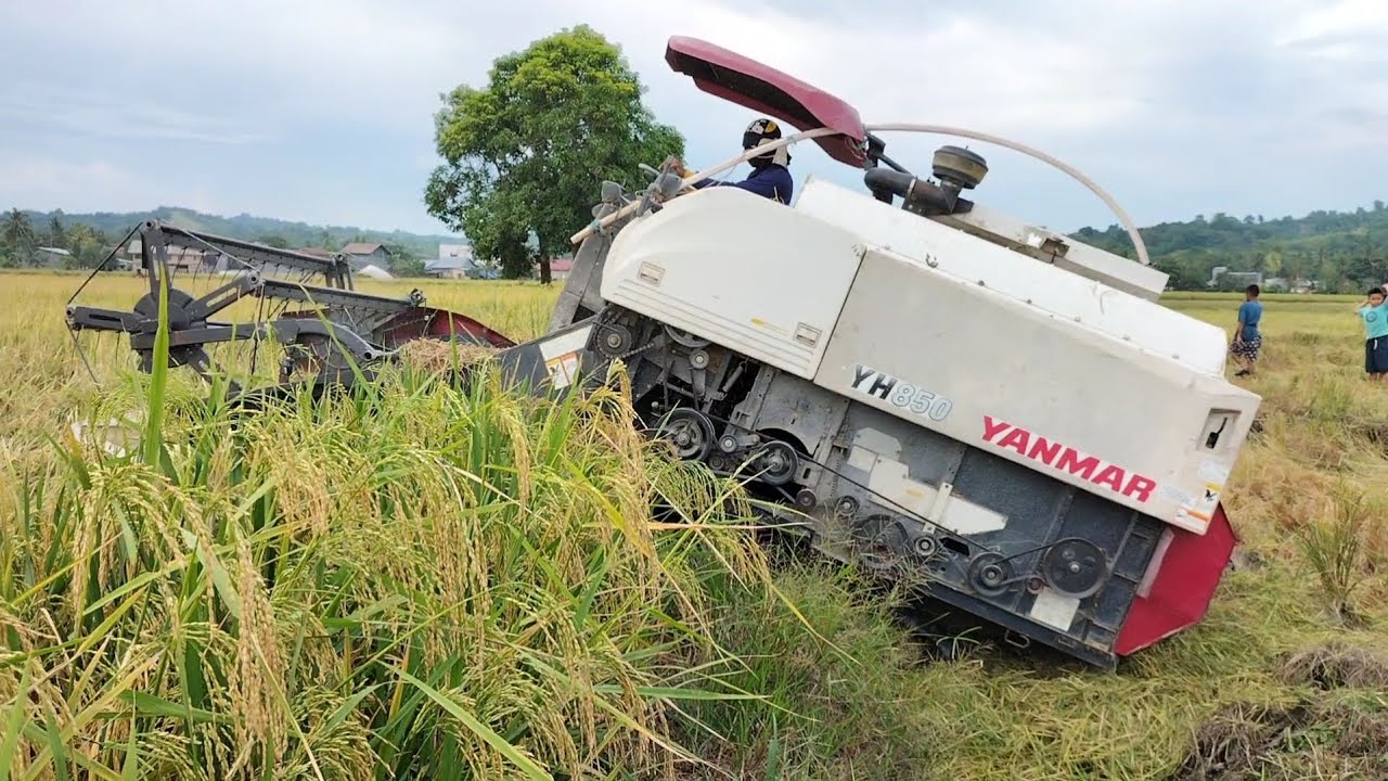 combine padi yanmar yh850 full HD panen di lokasi yang berbeda-beda
