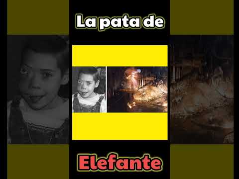 LA PATA DE