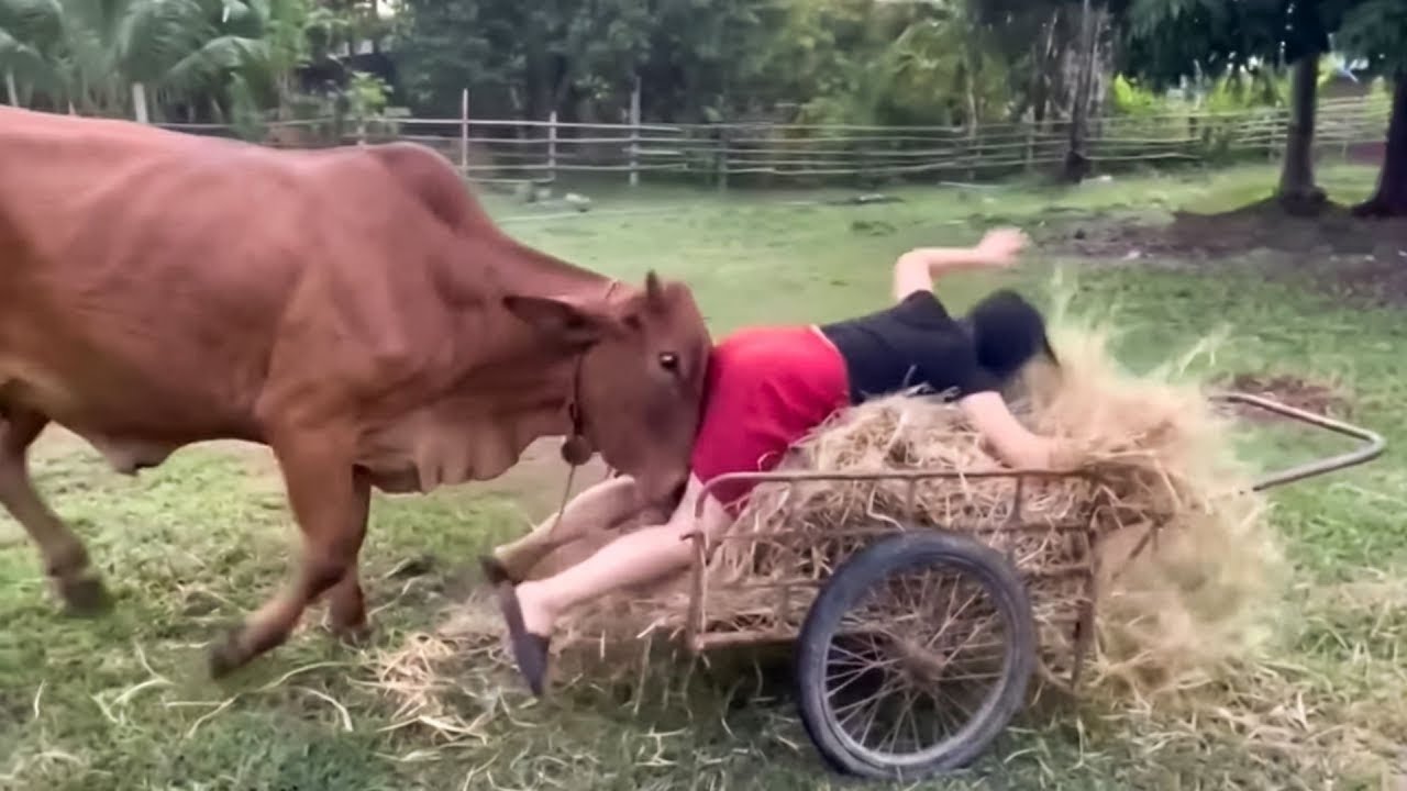 Incredible Moments Caught on Camera | Shocking Real-Life Events You Must See