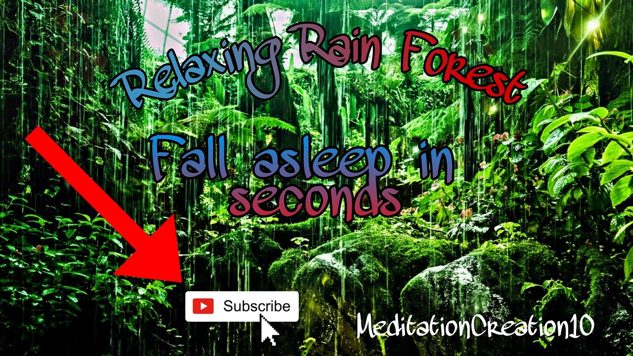 Relaxing Sounds of Rain + Wind in Forest 1 Hour - YouTube
