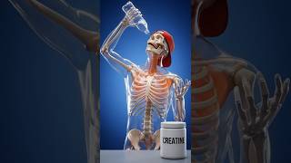 Is Creatine Safe or Dangerous?
