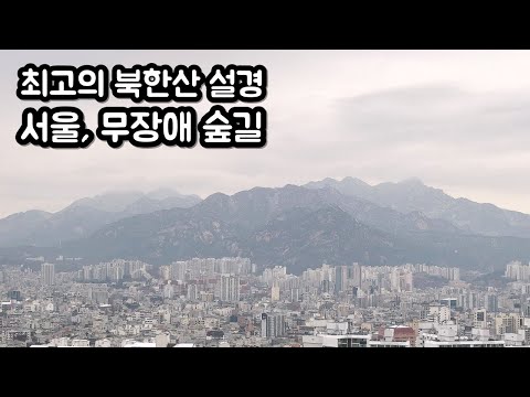 봉산무장애숲길