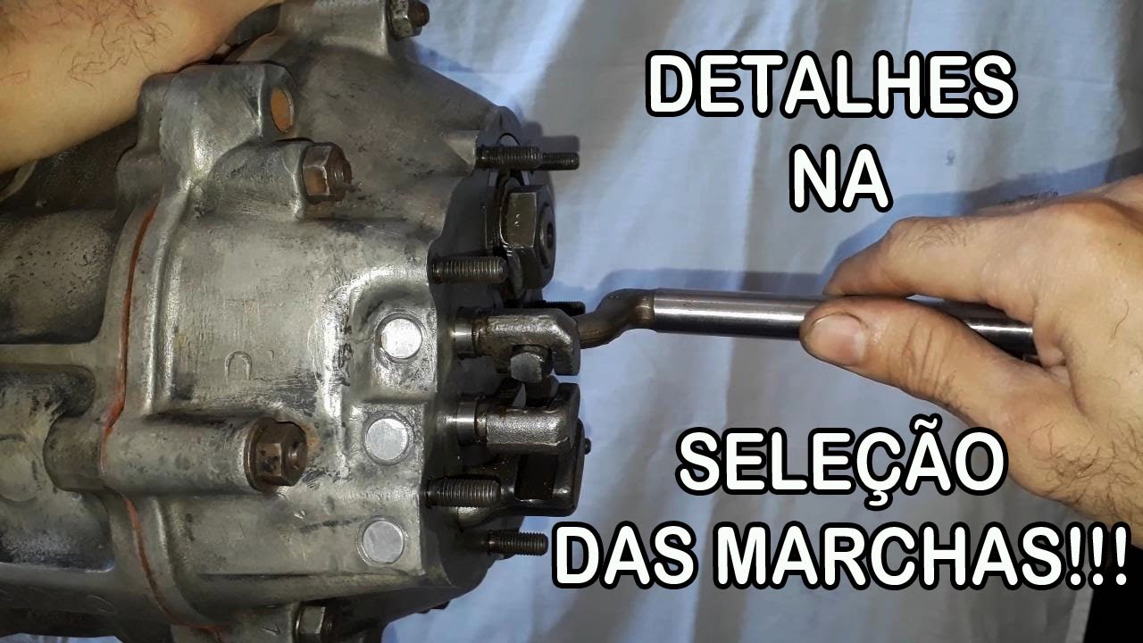 MANUTENÇÃO CÂMBIO 12 - CONHECENDO ALGUNS DETALHES!!! - (VARIANT DNG PARTE 69)